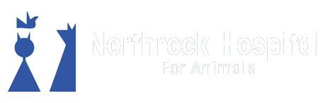 <span>Northrock Hospital For Animals PA</span>
logo