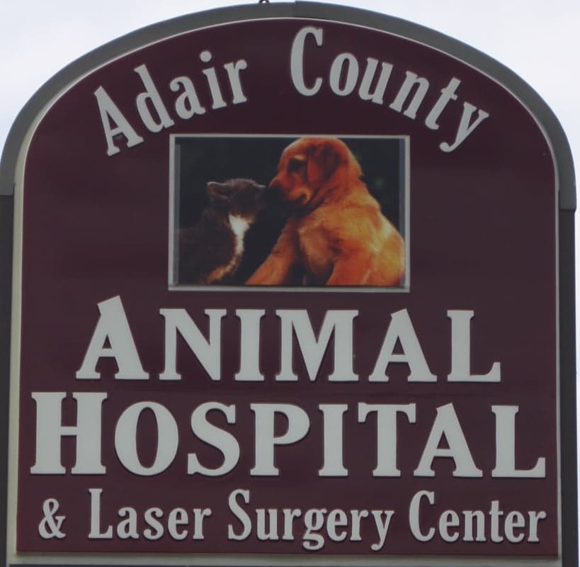 <span>Adair County Animal Hospital</span>
logo