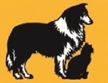 <span>Florence Veterinary Hospital</span>
logo