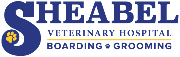 <span>Sheabel Veterinary Service</span>
logo