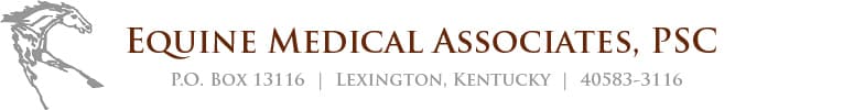 <span>Equine Medical Associate</span>
logo