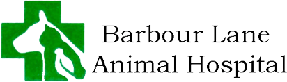 <span>Barber Lane Animal Hospital</span>
logo