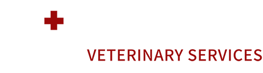<span>Hammond Veterinary Service</span>
logo