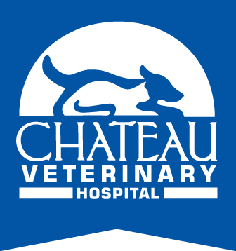<span>Chateau Veterinary Hospital</span>
logo