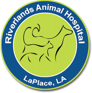 <span>Riverlands Animal Hospital</span>
logo