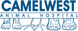 <span>Camelwest Animal Hospital</span>
logo