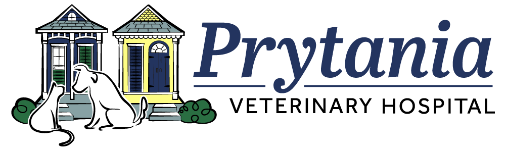 <span>Prytania Veterinary Hospital</span>
 logo