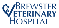 <span>Brewster Veterinary Hospital</span>
logo