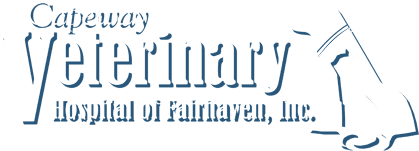 <span>Capeway Veterinary Hospital</span>
 logo