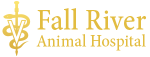 <span>Fall River Animal Hospital Inc</span>
logo