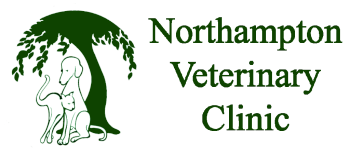 <span>Northampton Veterinary Clinic</span>
logo