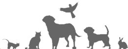 <span>Acorn Animal Hospital</span>
logo