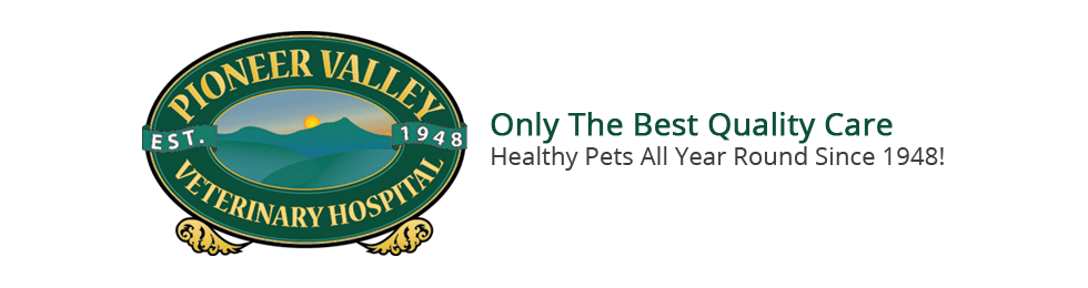 <span>Pioneer Valley Veterinary Hospital Inc</span>
logo