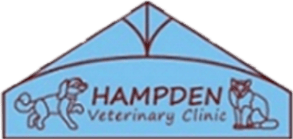 <span>Hampden Veterinary Clinic</span>
logo