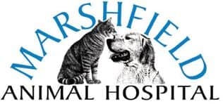 <span>Marshfield Animal Hospital</span>
logo