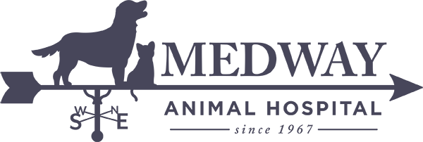 <span>Medway Animal Hospital</span>
logo
