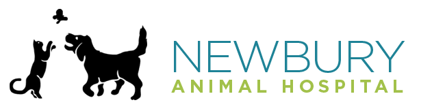<span>Newbury Animal Hospital</span>
logo