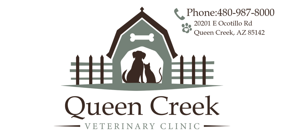<span>Queen Creek Veterinary Clinic</span>
logo