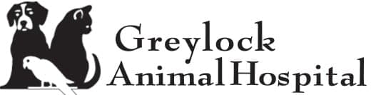 <span>Greylock Animal Hospital</span>
logo