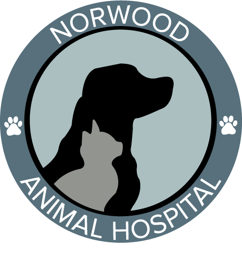 <span>Norwood Animal Hospital</span>
logo