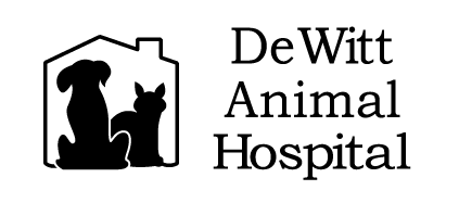 <span>Dewitt Animal Hospital</span>
logo