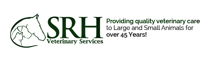 <span>SRH Equine Associate Inc</span>
logo