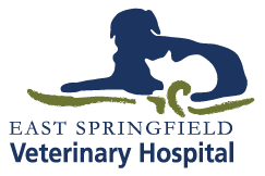 <span>East Springfield Veterinary Hospital</span>
logo