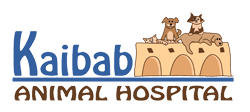 <span>Kaibab Animal Hospital</span>
logo