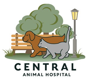 <span>Central Animal Hospital</span>
logo