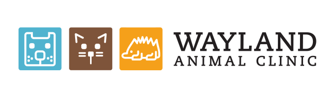 <span>Wayland Animal Clinic</span>
logo