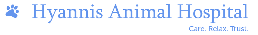 <span>Hyannis Animal Hospital Inc</span>
logo