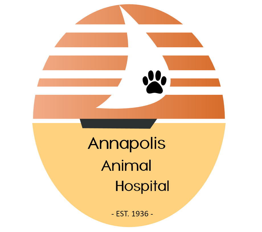 <span>Annapolis Animal Hospital</span>
logo