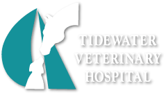 <span>Tidewater Veterinary Hospital</span>
logo