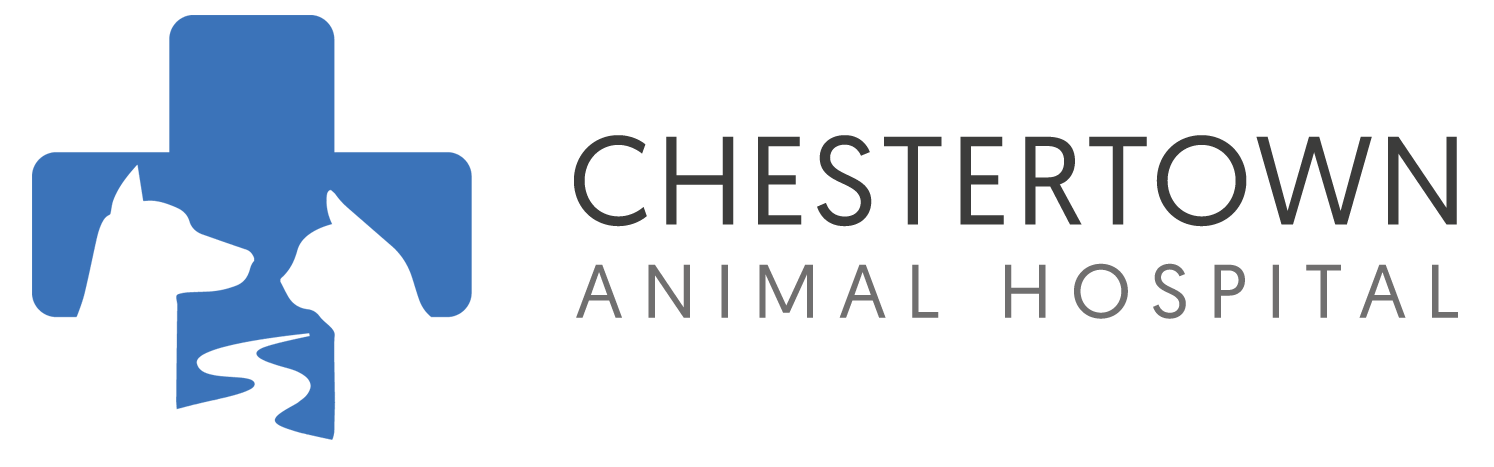 <span>Chestertown Animal Hospital LLP</span>
logo
