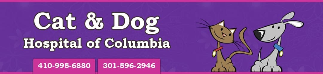 <span>Cat & Dog Hospital of Columbia</span>
logo