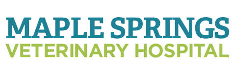 <span>Maple Springs Veterinary Hospital</span>
logo