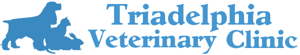 

<!-- THEME DEBUG -->
<!-- THEME HOOK: 'field' -->
<!-- FILE NAME SUGGESTIONS:
   * field--node--title--listing.html.twig
   x field--node--title.html.twig
   * field--node--listing.html.twig
   * field--title.html.twig
   * field--string.html.twig
   * field.html.twig
-->
<!-- BEGIN OUTPUT from 'core/themes/stable/templates/field/field--node--title.html.twig' -->
<span>Triadelphia Veterinary Clinic</span>

<!-- END OUTPUT from 'core/themes/stable/templates/field/field--node--title.html.twig' -->

 logo