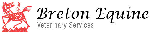 <span>Breton Equine Vet Service LLC</span>
logo
