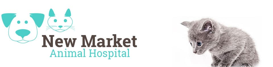 <span>New Market Animal Hospital</span>
logo