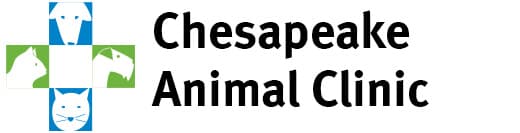 <span>Chesapeake Animal Clinic</span>
logo