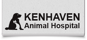 <span>Kenhaven Animal Hospital</span>
logo