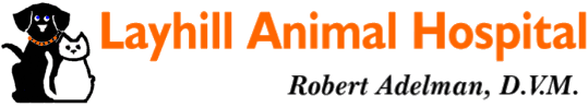 <span>Layhill Animal Hospital</span>
logo