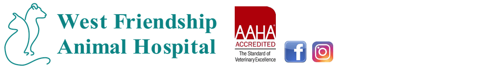 <span>West Friendship Animal Hospital</span>
logo