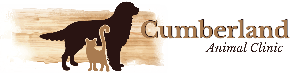 <span>Cumberland Animal Clinic</span>
logo