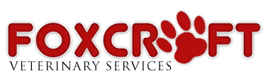 <span>Alexander Simon VMD</span>
logo