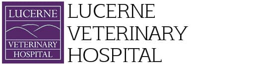 <span>Lucerne Veterinary Hospital</span>
logo