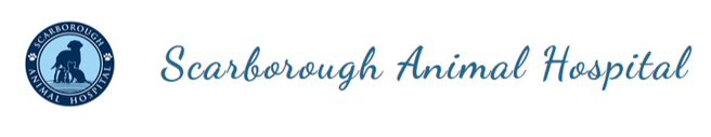 <span>Scarborough Animal Hospital</span>
logo