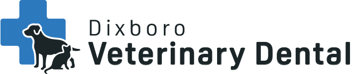 <span>Dixboro Veterinary Dental </span>
 logo