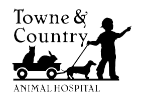 <span>Towne & Country Animal Hospital</span>
logo