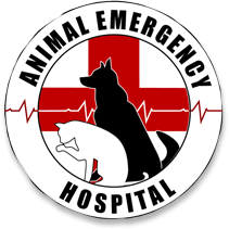 <span>Animal Emergency Hospital</span>
logo